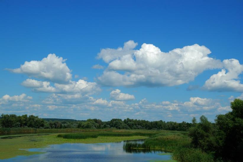 Вільховатка з panoramio.com - Вільховатка