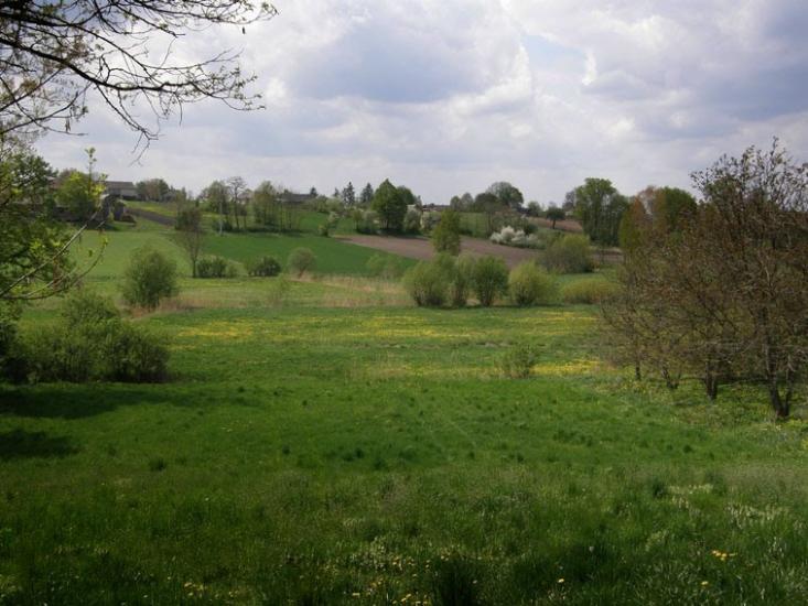 Корчів з panoramio.com - Корчев