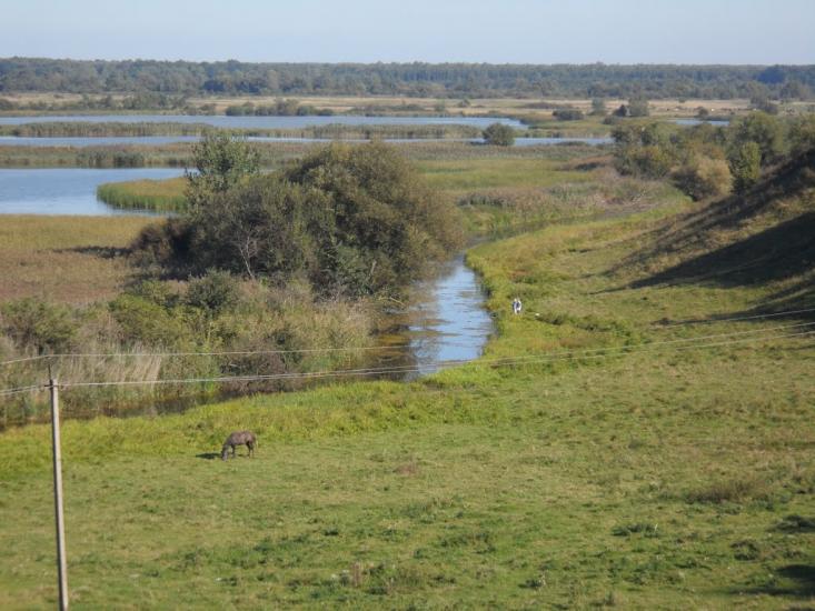 Більче з panoramio.com - Більче