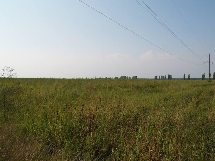 Кустівці з panoramio.com - Кустівці