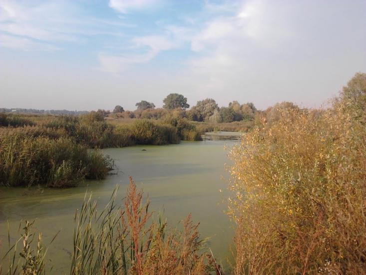 Березань з panoramio.com - Березань