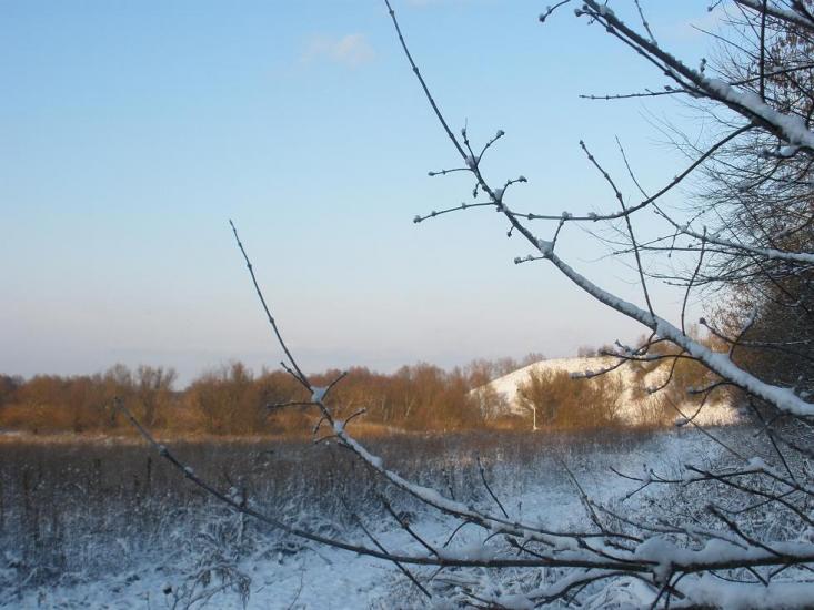 Лохвиця з panoramio.com - Lokhvitsa