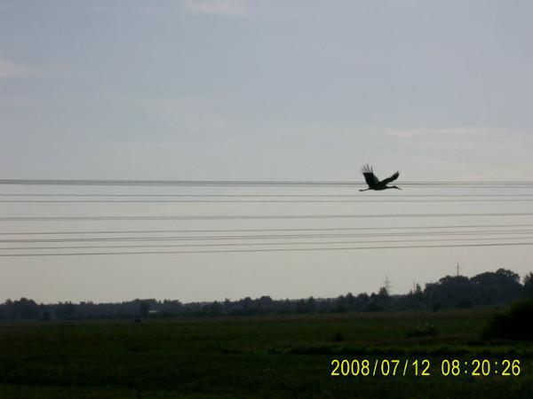 Гірники з panoramio.com - Гірники