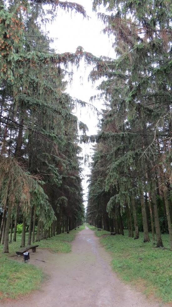 Краснокутськ з panoramio.com - Краснокутск