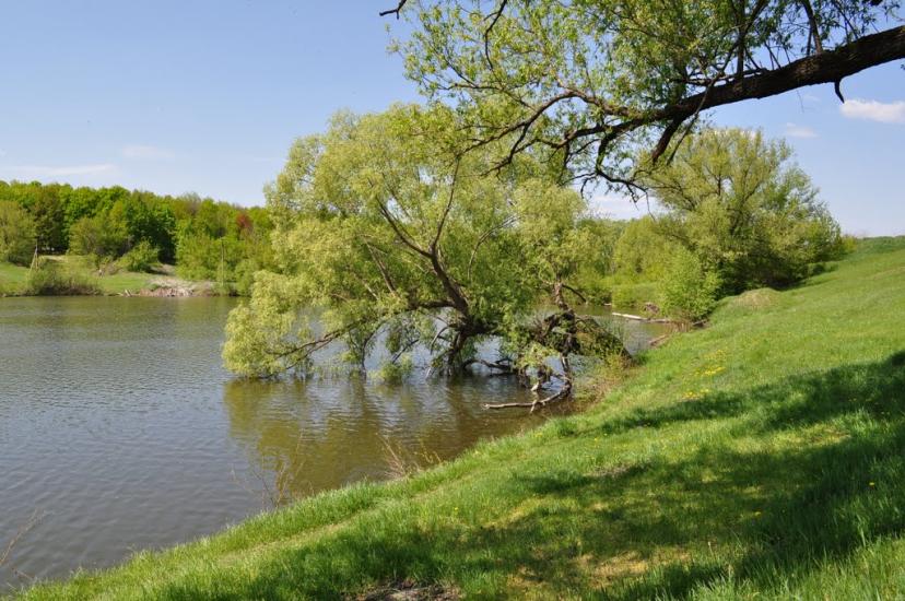 Носачів з panoramio.com - Носачів