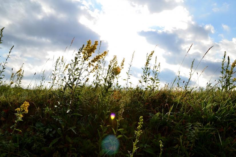 Люта з panoramio.com - Люта