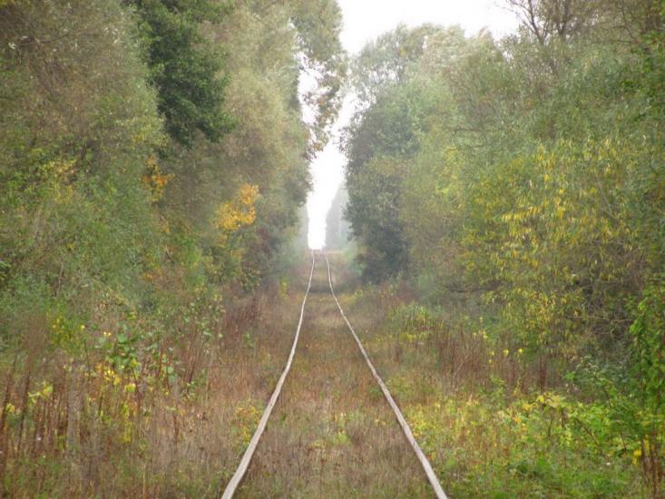 Волосінь з panoramio.com - Волосінь