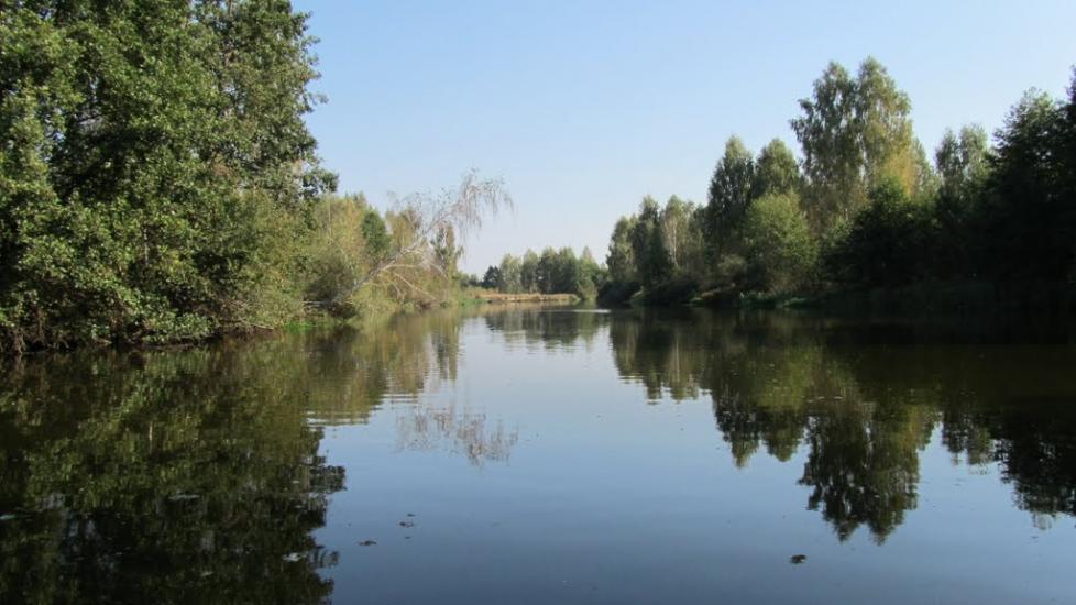 Прохорів з panoramio.com - Прохоров