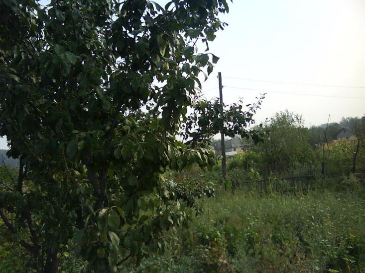 Новоайдар з panoramio.com - Новоайдар