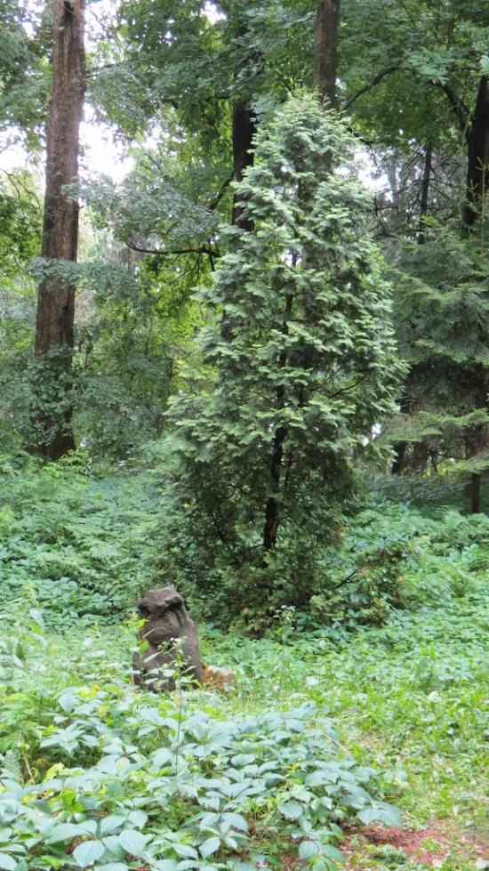 Краснокутськ з panoramio.com - Краснокутск