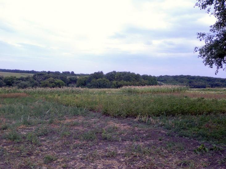 Мілова Балка з panoramio.com - Меловая Балка