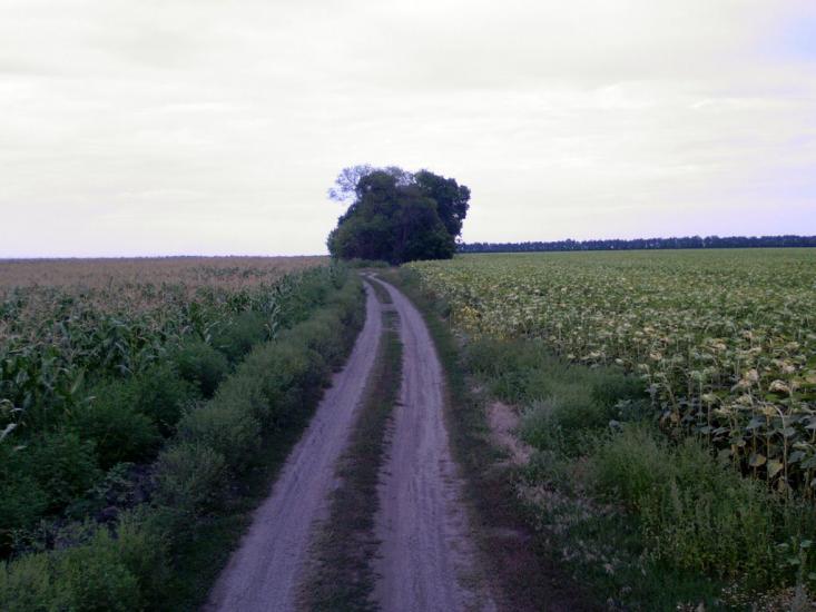 Мілова Балка з panoramio.com - Меловая Балка