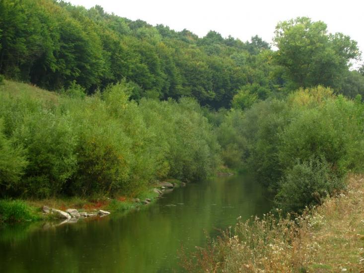 Мартинківці з panoramio.com - Мартынковцы