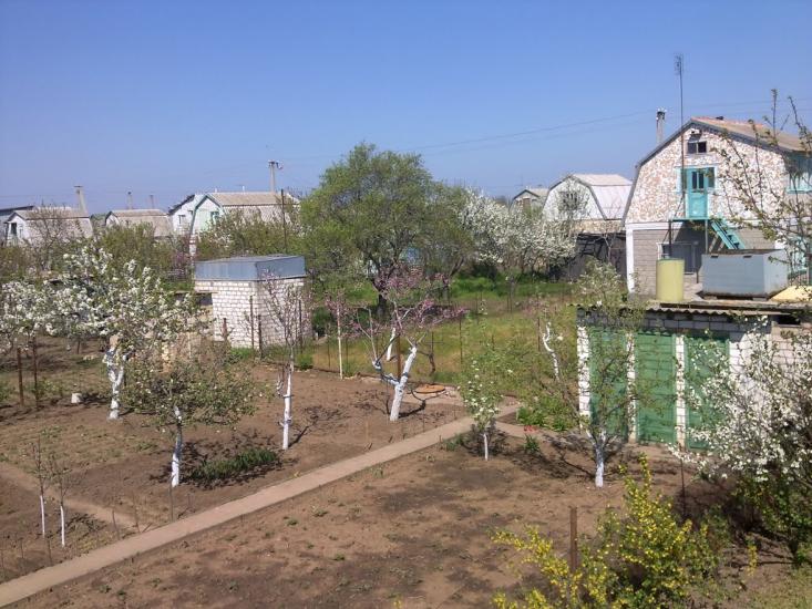 Лупареве з panoramio.com - Лупарево