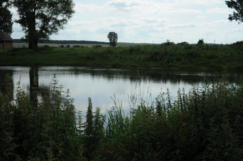 Жовтанці з panoramio.com - Жовтанці