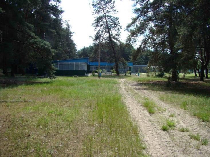 Піски-Радьківські з panoramio.com - Піски-Радьківські