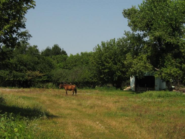 Козацьке з panoramio.com - Козацьке