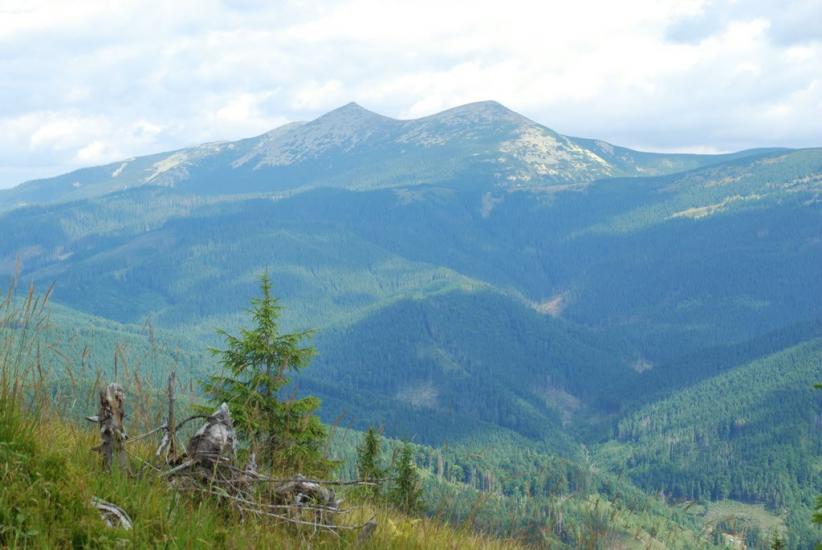 Згари з panoramio.com - Згари