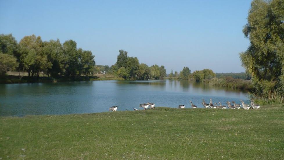 Мельники з panoramio.com - Мельники