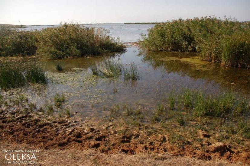 Фрунзе з panoramio.com - Фрунзе