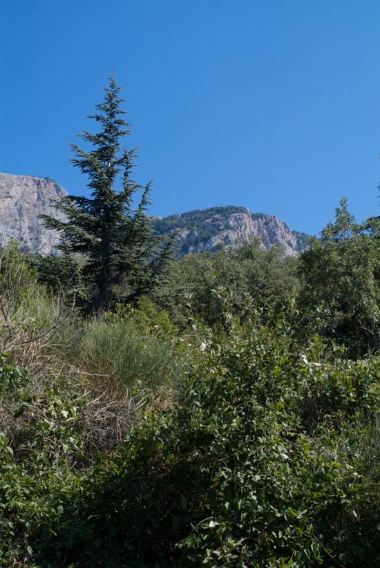 Паркове з panoramio.com - Парковое