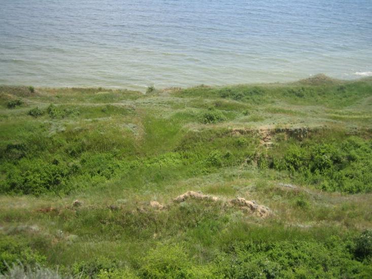Южне з panoramio.com - Южне