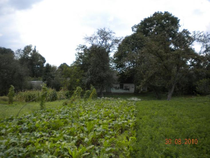 Лідихів з panoramio.com - Ледыхов