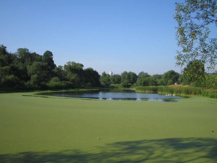 Потелич з panoramio.com - Потелич