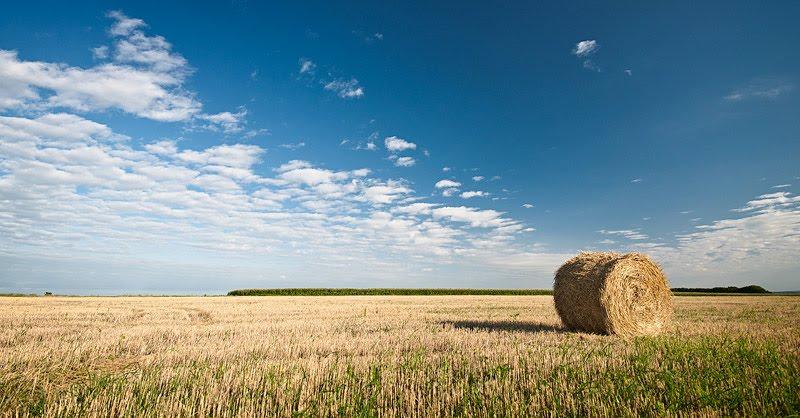 Миронівка з panoramio.com - Мироновка