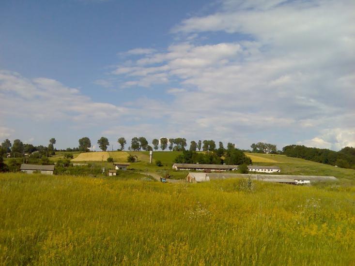 Вільховець з panoramio.com - Vilkhovets