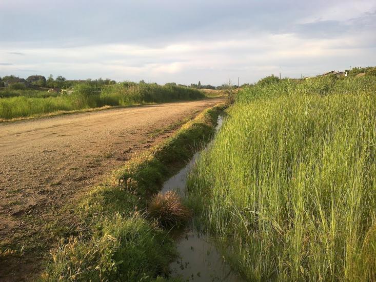 Фрунзе з panoramio.com - Фрунзе