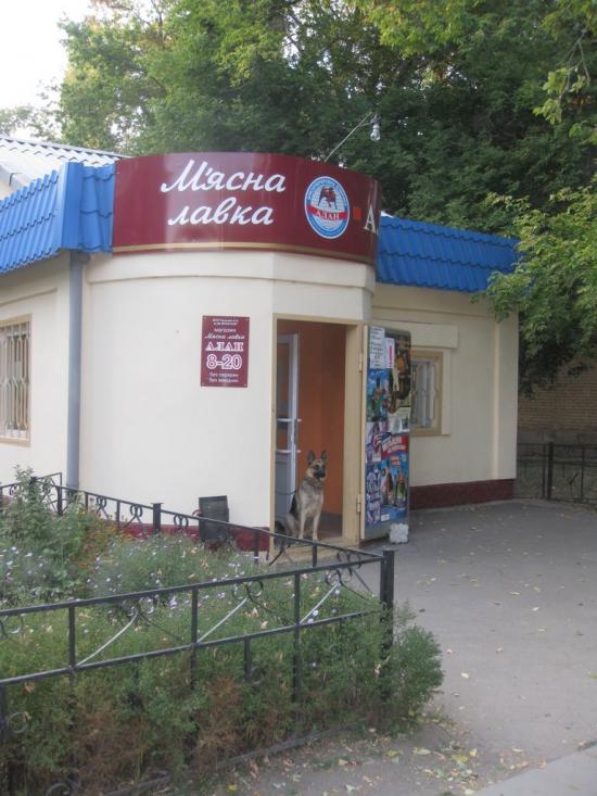 Зелений Гай з panoramio.com - Зеленый Гай