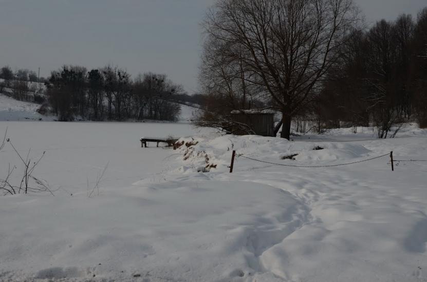 Пугачівка з panoramio.com - Пугачівка