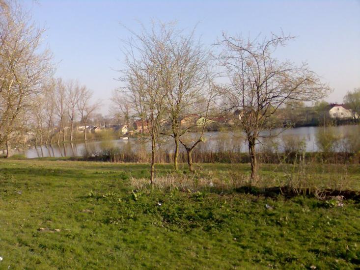 Мавковичі з panoramio.com - Мавковичі