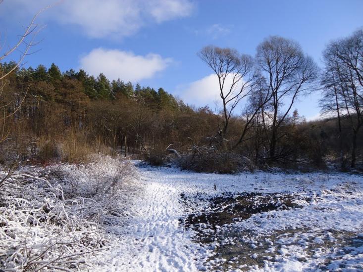 Красилів з panoramio.com - Красилів