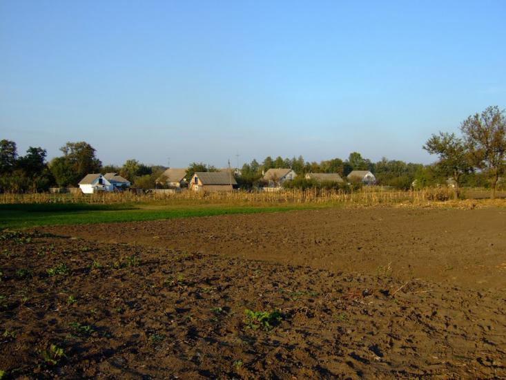 Острів з panoramio.com - Острів