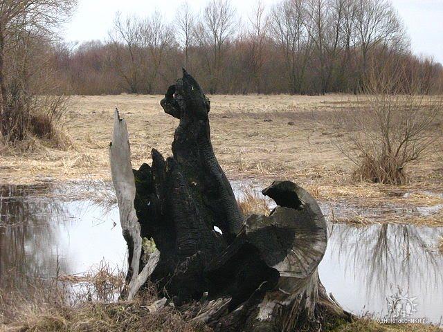 Хочева з panoramio.com - Хочева