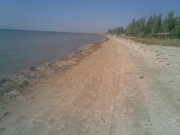 Орлівка з panoramio.com - Орловка