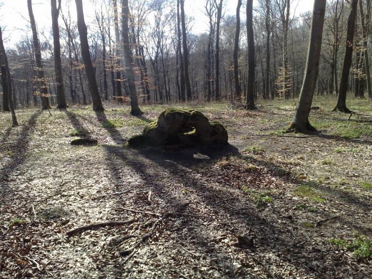 Дев'ятир з panoramio.com - Девятир