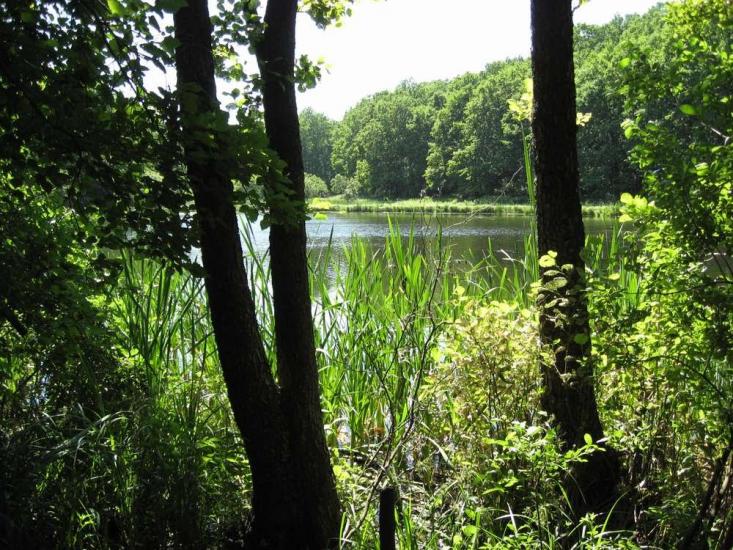 Манченки з panoramio.com - Манченки