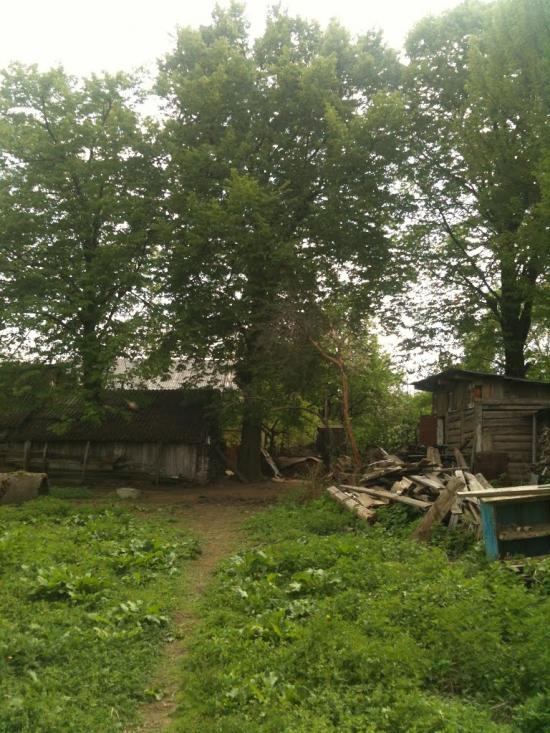 Бондарів з panoramio.com - Бондарев