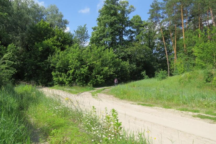 Хрещатик з panoramio.com - Крещатик