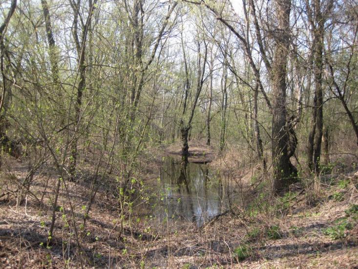 Плавні з panoramio.com - Плавни