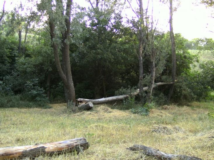 Павлопіль з panoramio.com - Павлопіль
