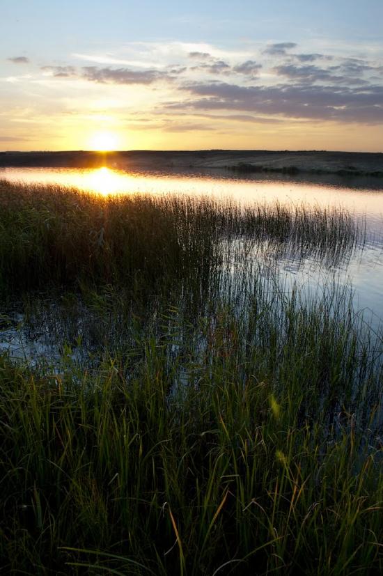 Родникове з panoramio.com - Родникове
