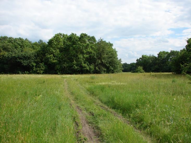 Кунцеве з panoramio.com - Кунцеве