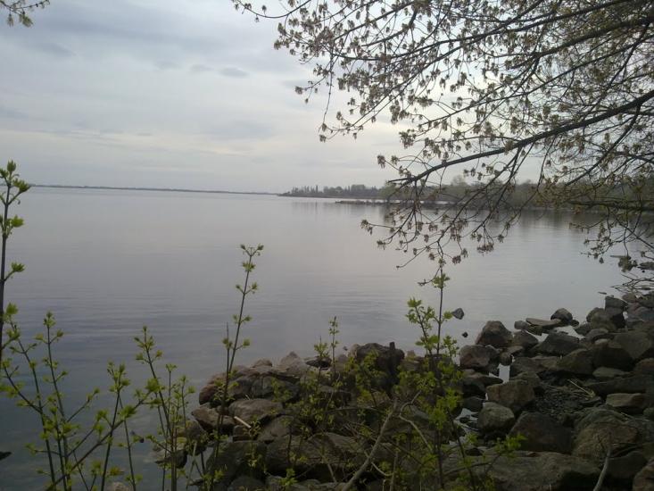 Верхньодніпровськ з panoramio.com - Верхнеднепровск