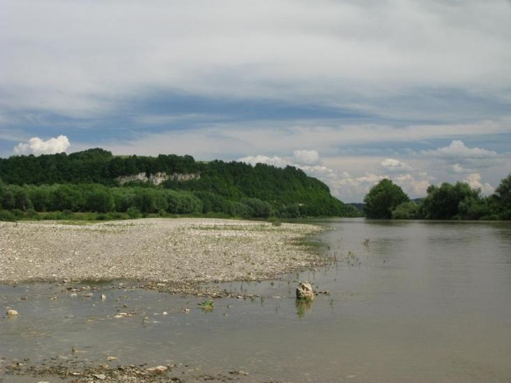 Золота Липа з panoramio.com - Золотая Липа