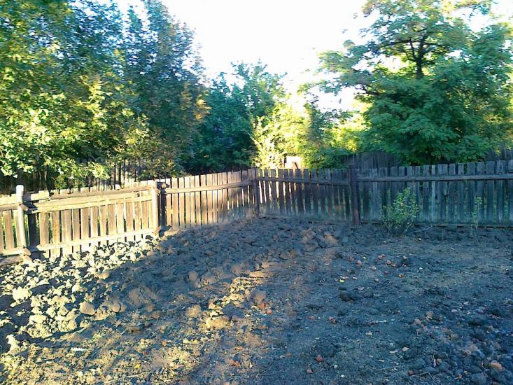 Брянка з panoramio.com (ч.2) - Брянка