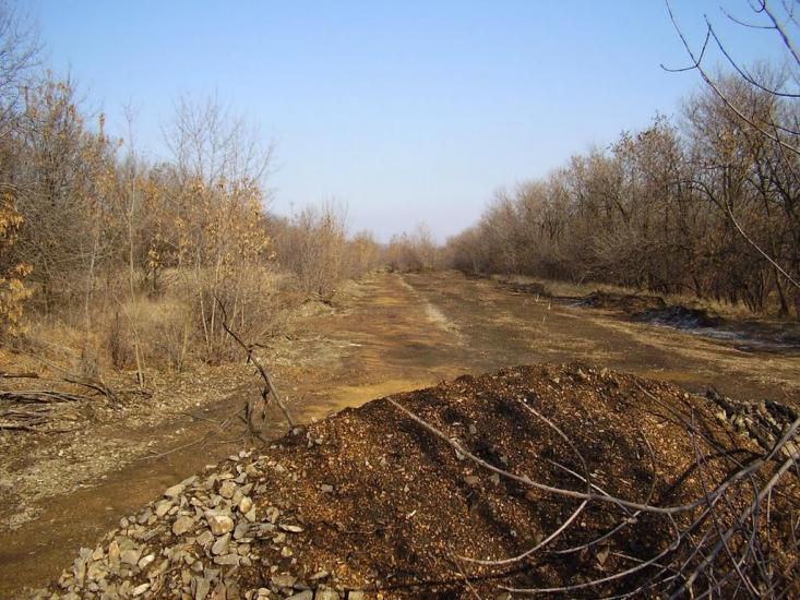 Весняне з panoramio.com - Весняне